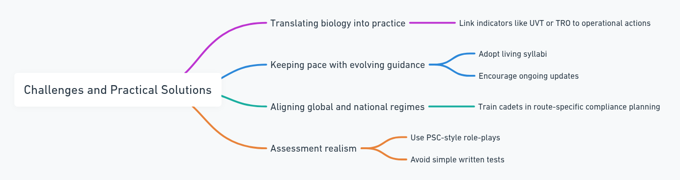 Challenges and Practical Solutions